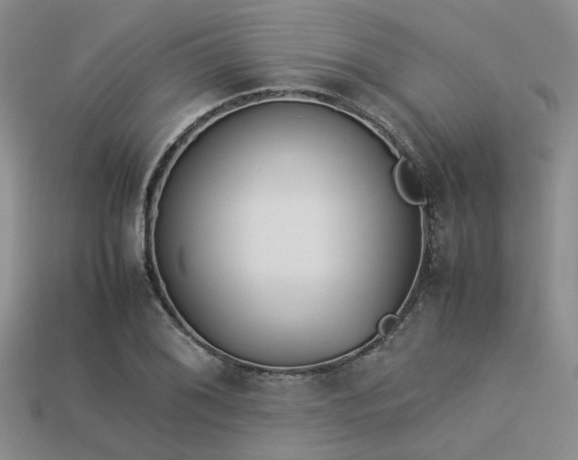 X0000113541076200909181151