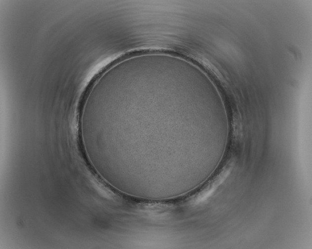 X0000113541077200909181151