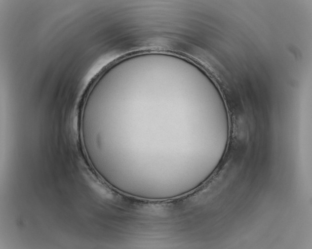 X0000113541078200909181151
