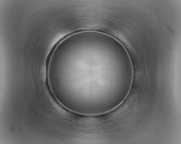 X0000113541079200909181151