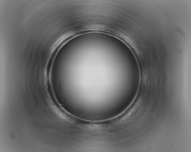 X0000113541082200909181151