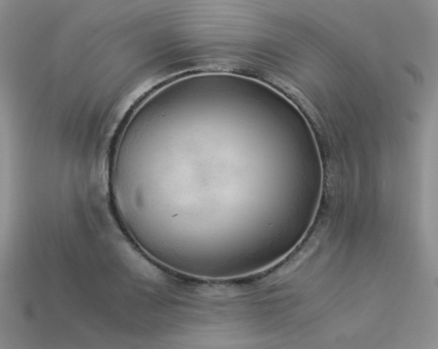 X0000113541083200909181151