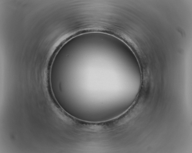 X0000113541085200909181151