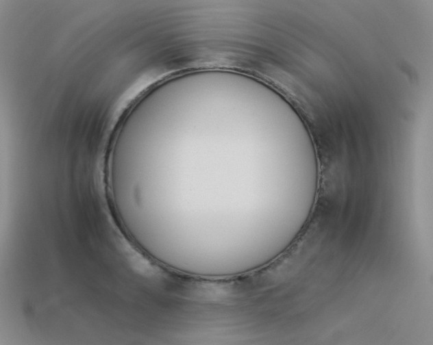 X0000113541086200909181151