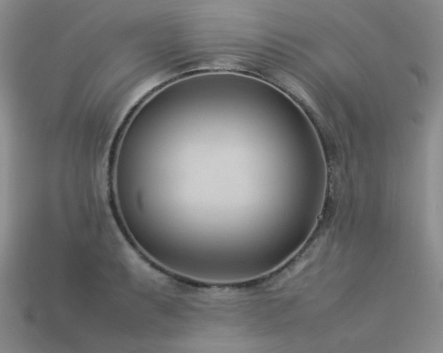 X0000113541087200909181151