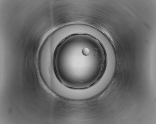 X0000113541088200909181151