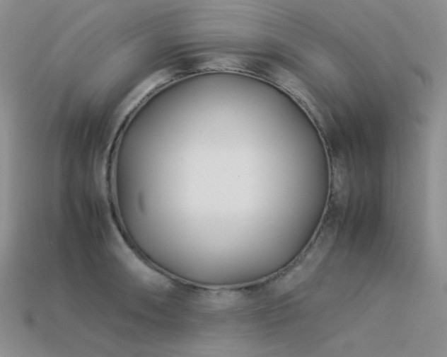 X0000113541090200909181151