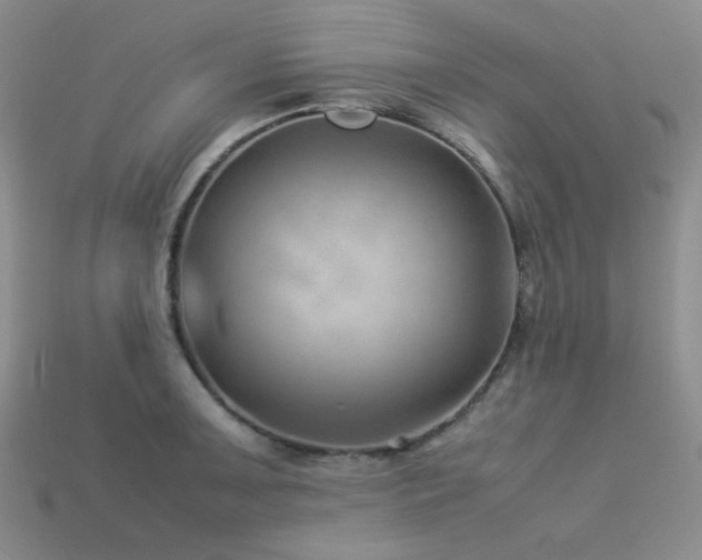 X0000113541091200909181151