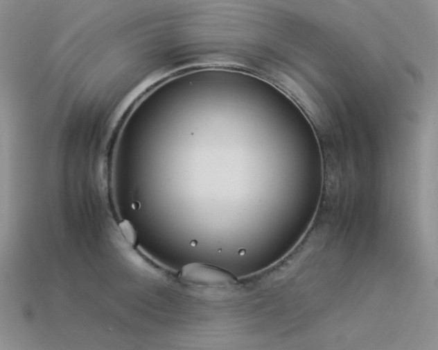 X0000113541092200909181151