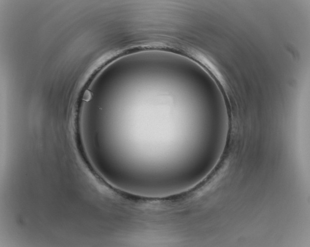 X0000113541093200909181151