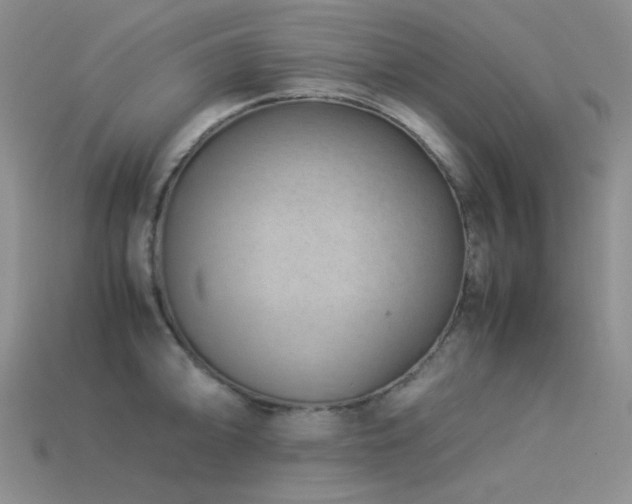 X0000113541094200909181151