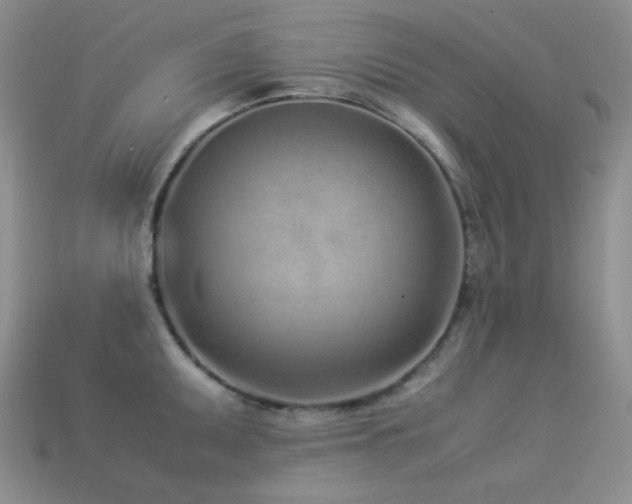 X0000113541095200909181151
