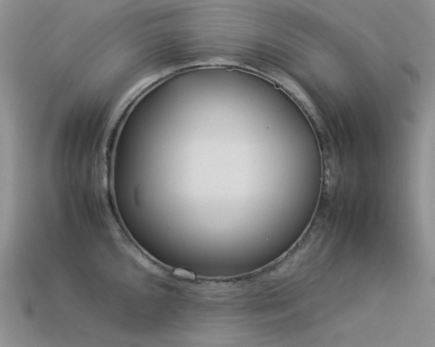 X0000113541096200909181151