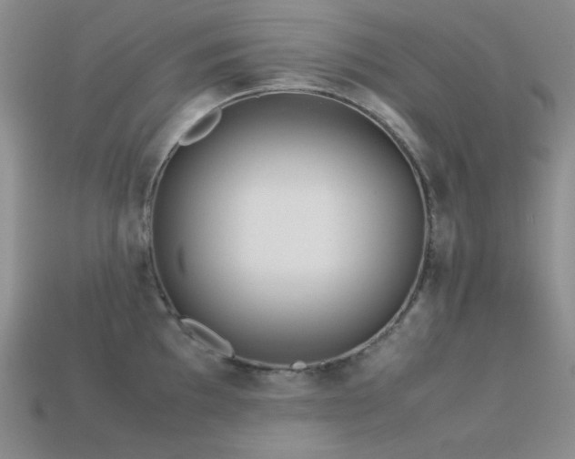 X0000113541097200909181151