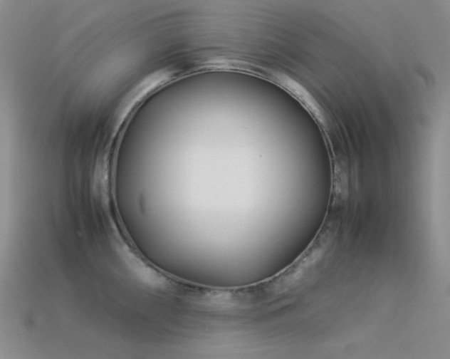 X0000113541098200909181151
