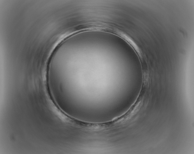 X0000113541099200909181151