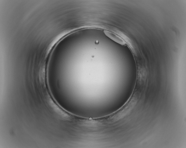 X0000113541100200909181151