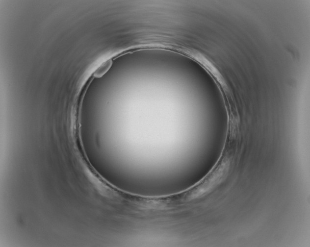 X0000113541101200909181151