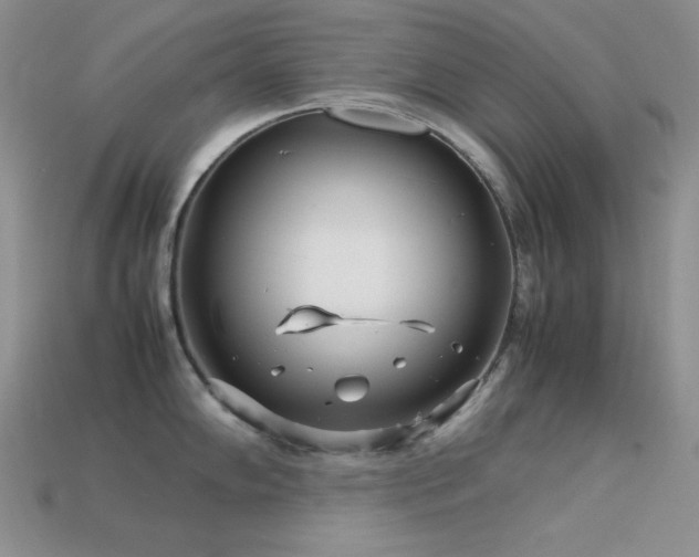 X0000113541102200909181151