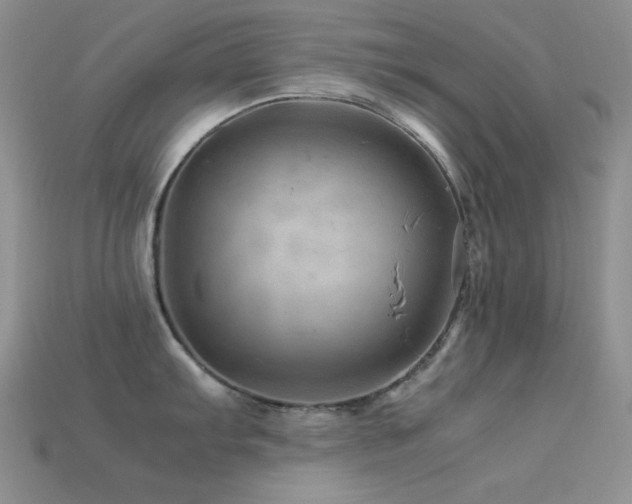 X0000113541103200909181151