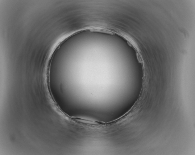 X0000113541104200909181151