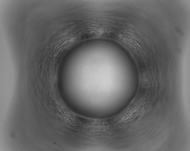 X0000113541105200909181150