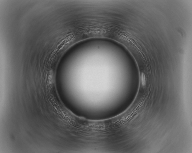 X0000113541107200909181150