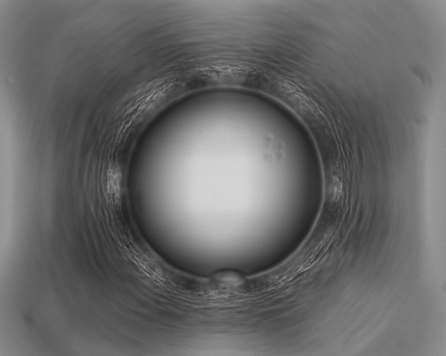 X0000113541108200909181150
