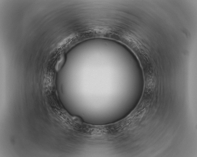 X0000113541110200909181150