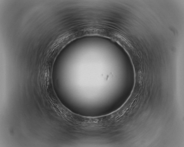 X0000113541111200909181150