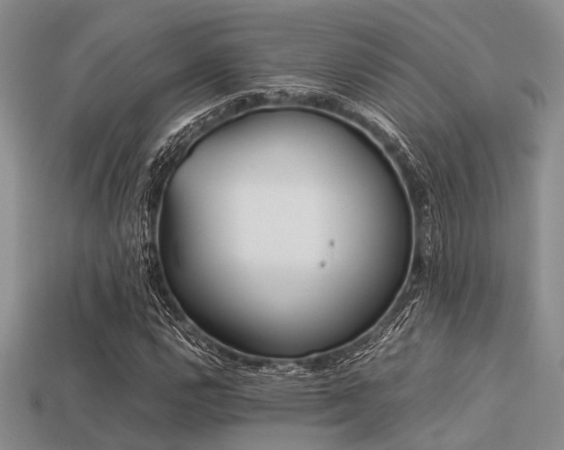 X0000113541112200909181150