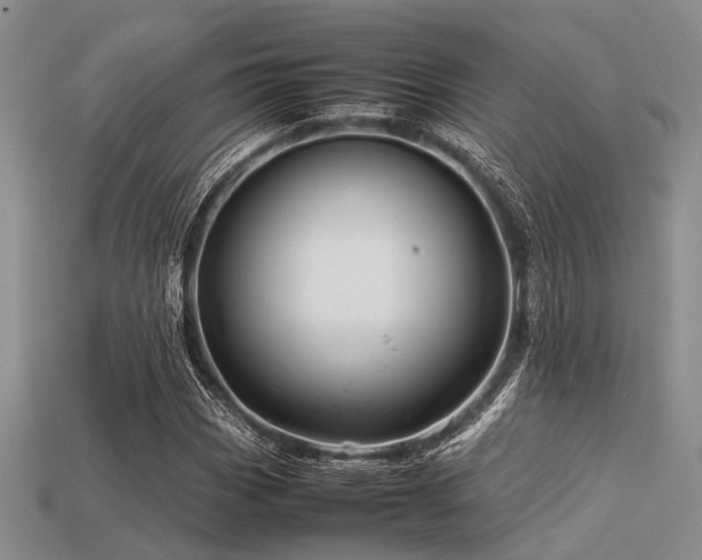 X0000113541113200909181150