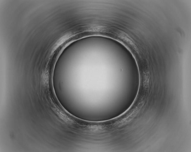 X0000113541114200909181150