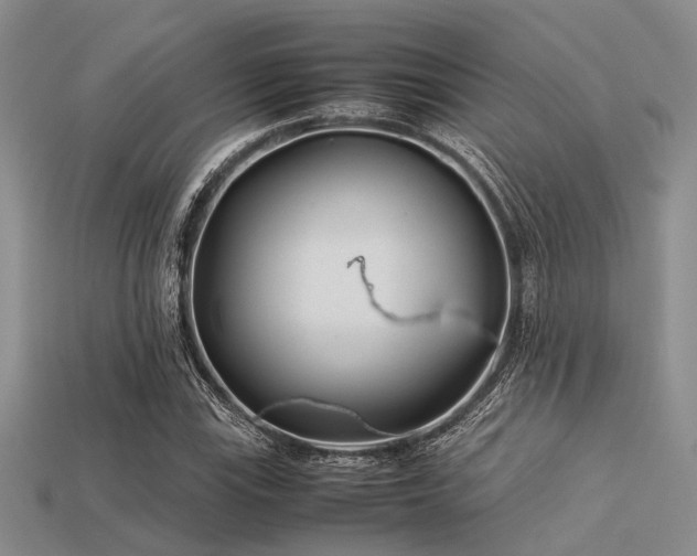 X0000113541115200909181150