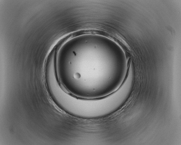 X0000113541116200909181150