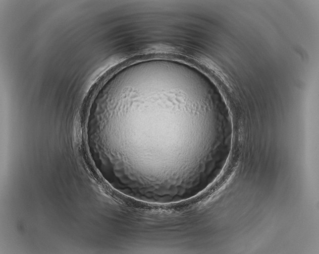 X0000113541117200909181150