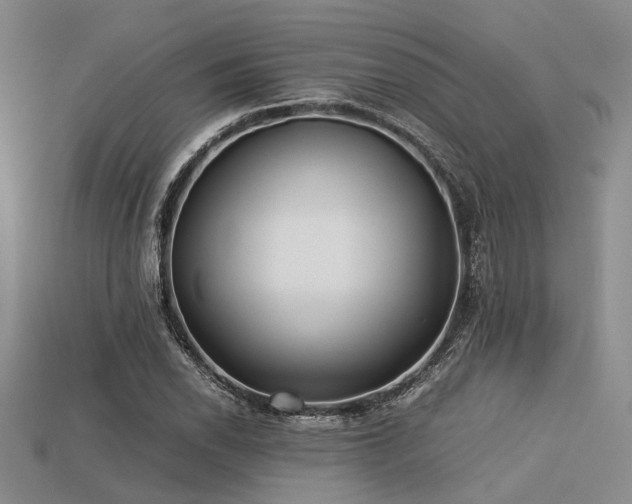 X0000113541118200909181150