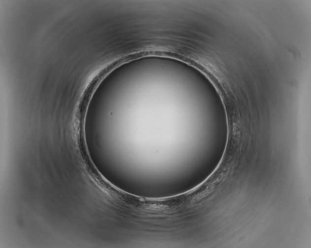 X0000113541119200909181150