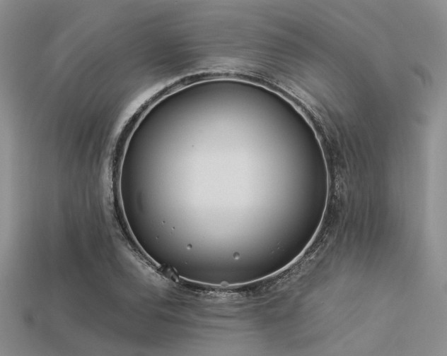 X0000113541120200909181151