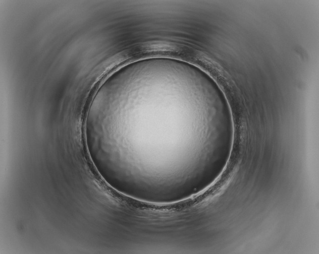 X0000113541121200909181151