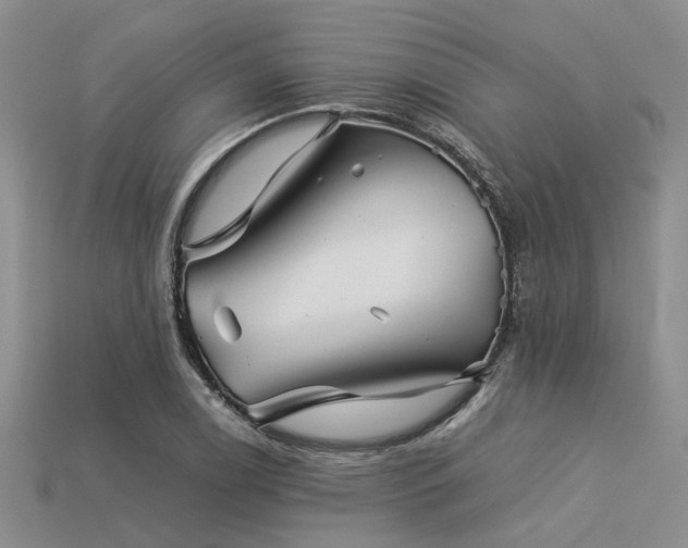 X0000113541122200909181151