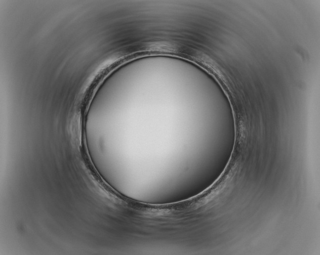 X0000113541123200909181151