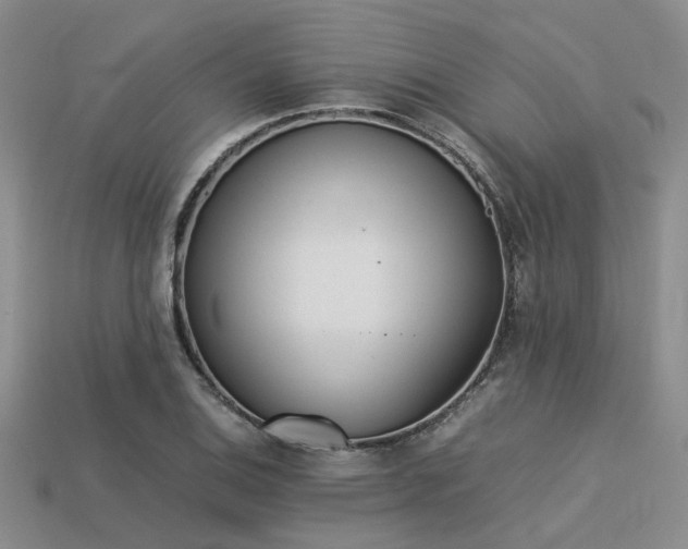 X0000113541124200909181151