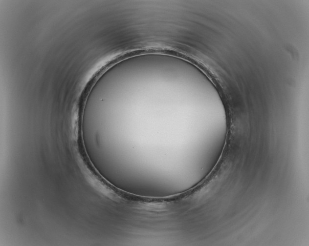 X0000113541126200909181151