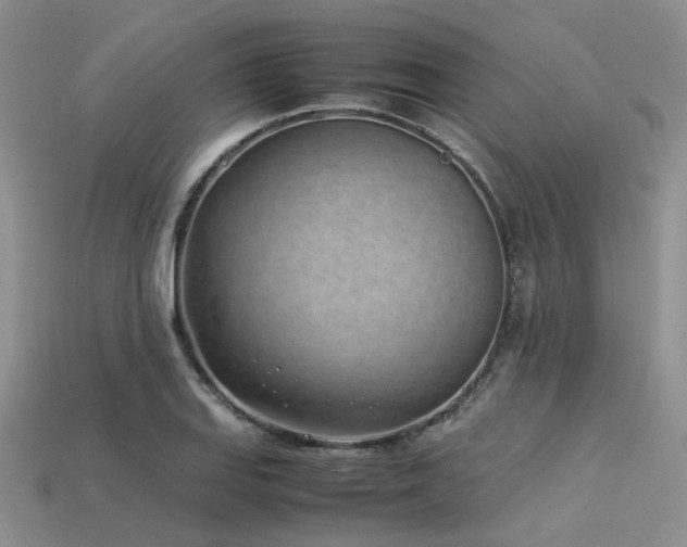 X0000113541127200909181151