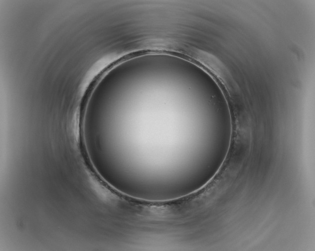 X0000113541128200909181151