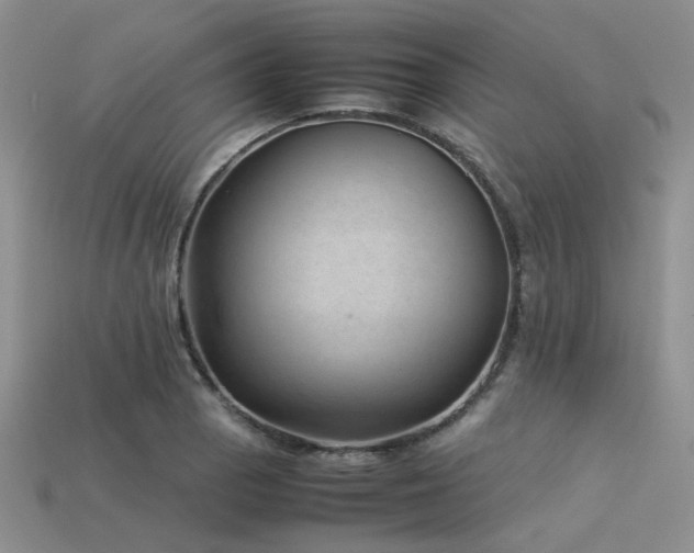 X0000113541129200909181151