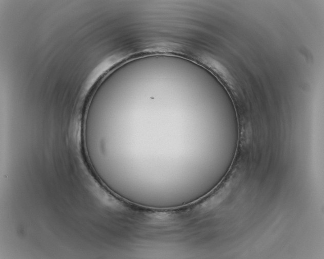 X0000113541130200909181151
