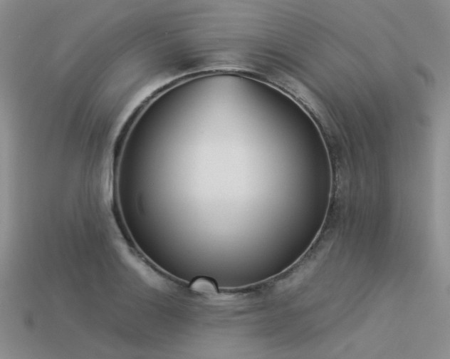 X0000113541132200909181151