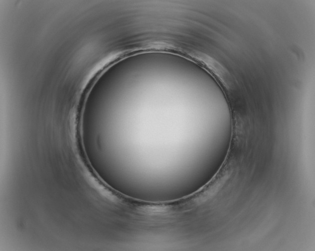 X0000113541134200909181151